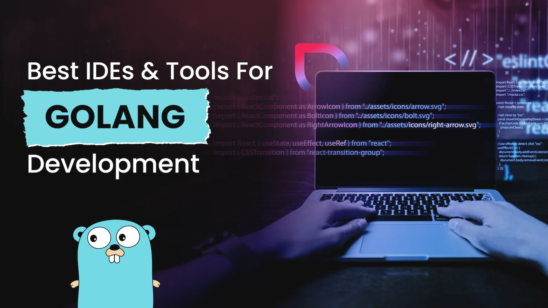 Best IDEs & Tools For Golang Development